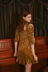 Francie Velvet Embossed Mini Dress