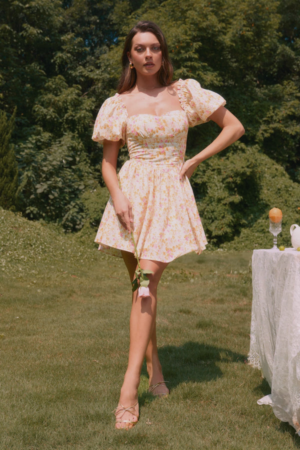 Nellie Princess Waist PuffSleeve Mini Dress