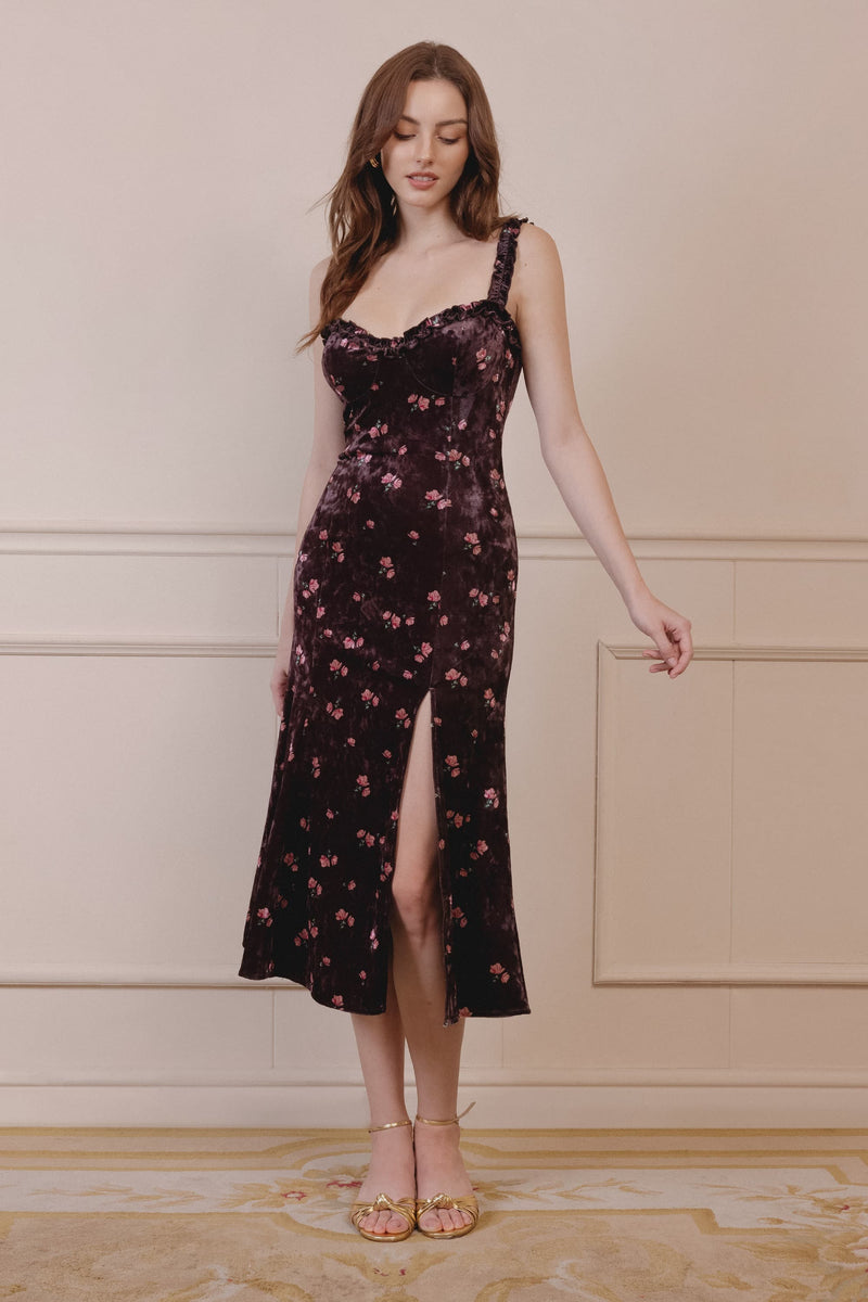 Laney Frilled Trim Floral Velvet Dress
